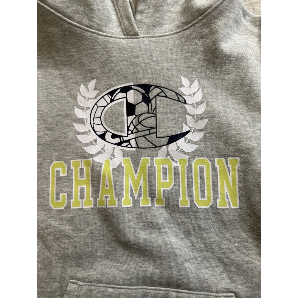 Champion Powerblend Heavyweight Fleece Pullover Hoodie youth Large gray - Picture 3 of 6